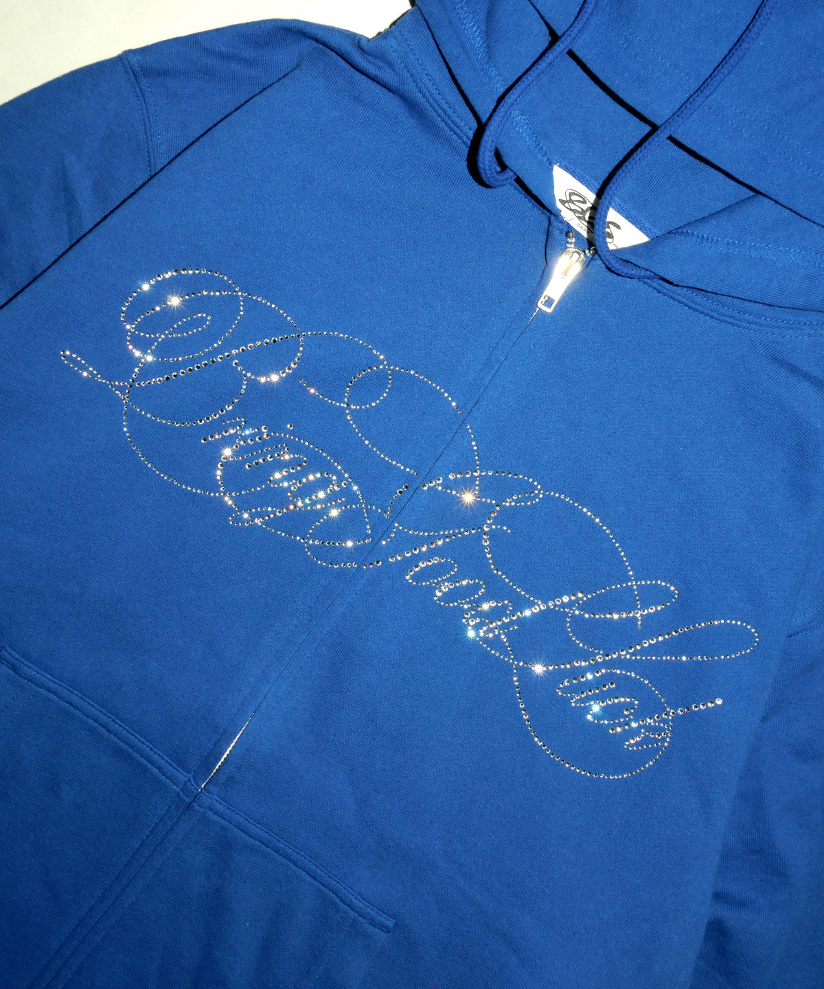 SCRIPT LOGO ZIP PARKA -BLUE-